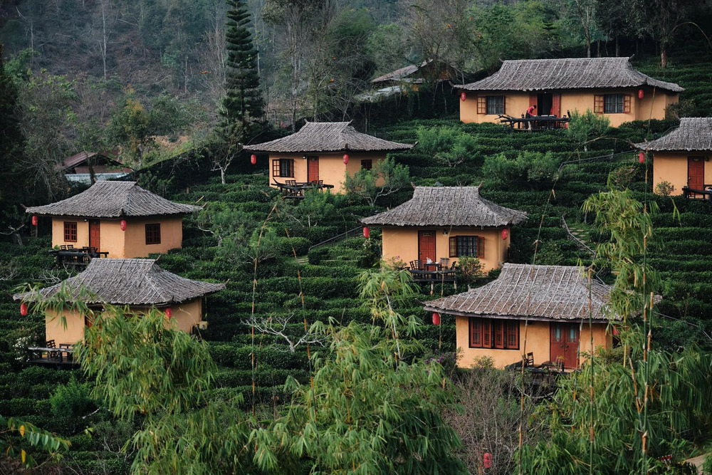 Du khách nên đặt phòng trước nếu đi vào mùa cao điểm (tháng 11 – tháng 2) để đảm bảo có chỗ nghỉ phù hợp với nhu cầu