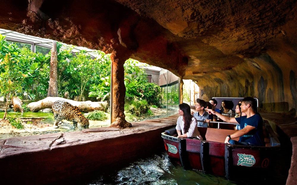 Safari World Bangkok l&agrave; điểm đến l&yacute; tưởng cho cả gia đ&igrave;nh v&agrave;o dịp cuối tuần