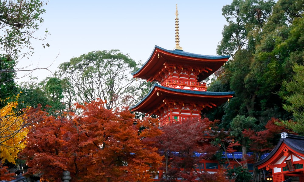 M&ugrave;a thu l&agrave; thời điểm l&yacute; tưởng để ngắm l&aacute; đỏ tại Kobe