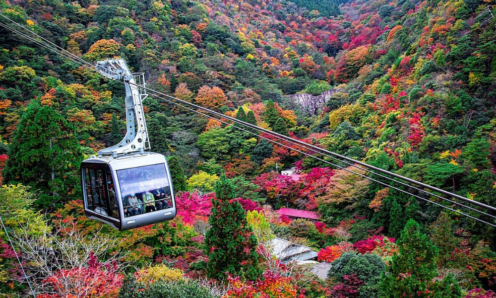 C&aacute;p treo Rokko mở ra khung cảnh lễ ký kết hợp tác chiến lược f168 và liên minh okvip đầy ấn tượng tr&ecirc;n cao