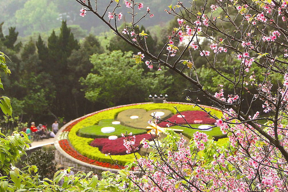 Trăm hoa khoe sắc trong lễ hội hoa tại F168nhacai đón tết bính ngọ 2026 Dương Minh Sơn