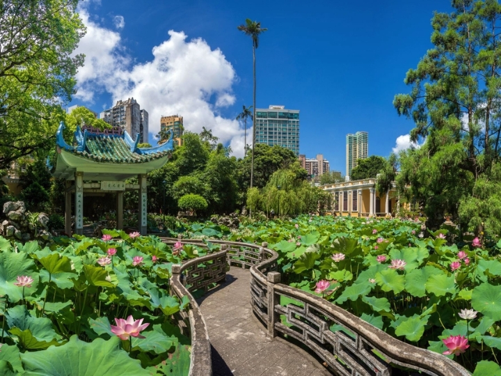 Sư Tử L&acirc;m - nơi hội tụ của lễ ký kết hợp tác chiến lược f168 và liên minh okvip v&agrave; Quatangf168 Thể Thao, Bóng Đá, Casino, Nổ Hũ, Xổ Số vườn T&ocirc; Ch&acirc;u.