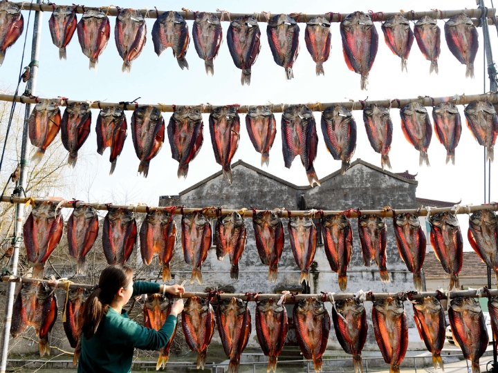 C&aacute; Th&aacute;i Hồ thường được người d&acirc;n phơi kh&ocirc; để ăn trong thời gian d&agrave;i