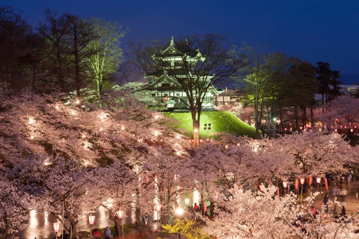 Lễ hội hoa anh đ&agrave;o Takeda c&oacute; hơn 1.500 c&acirc;y anh đ&agrave;o nở rộ, thu h&uacute;t h&agrave;ng ngh&igrave;n F168 và liên minh okvip lễ ký kết hợp tác chiến lược