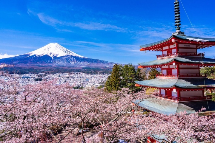 Yamanashi Quatangf168 tải ứng dụng c&oacute; khung cảnh tuyệt đẹp với hoa anh đ&agrave;o nở rộ v&agrave;o m&ugrave;a xu&acirc;n