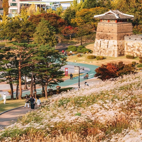 DU LỊCH SEOUL – NAMI: HẸN ƯỚC MÙA THU