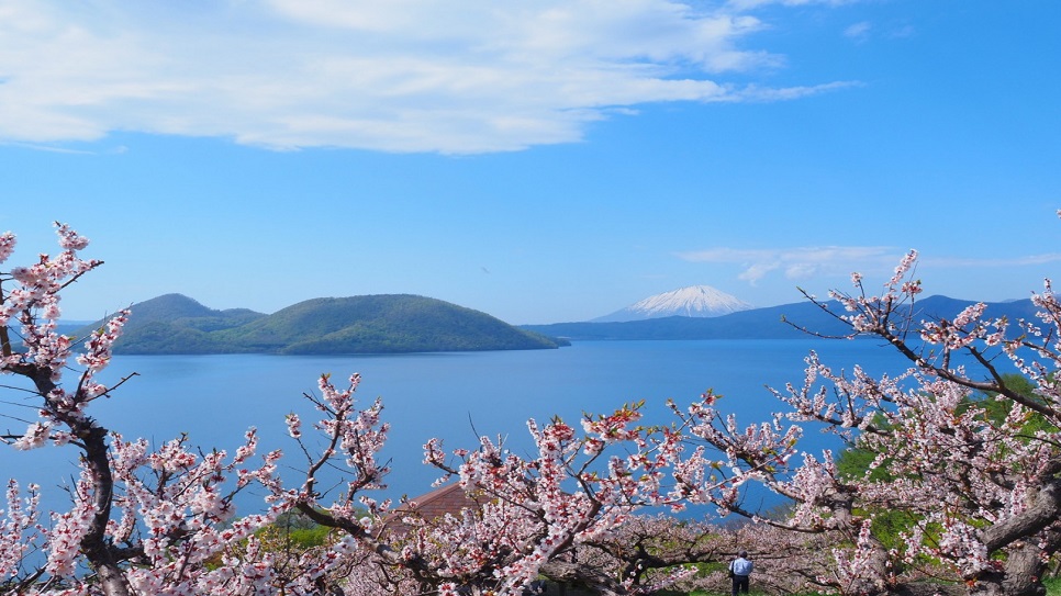 Hồ Toya l&atilde;ng mạn trong m&ugrave;a hoa anh đ&agrave;o