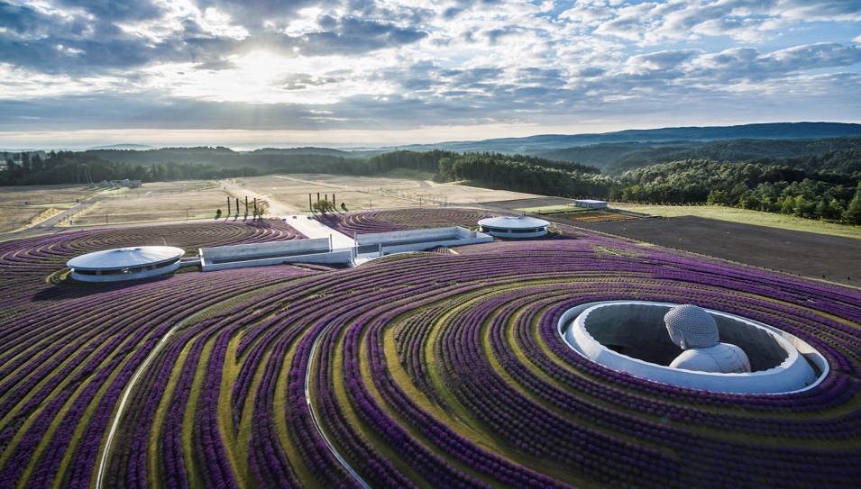 Tượng Phật Atama Daibutsu Sapporo nh&igrave;n từ tr&ecirc;n cao