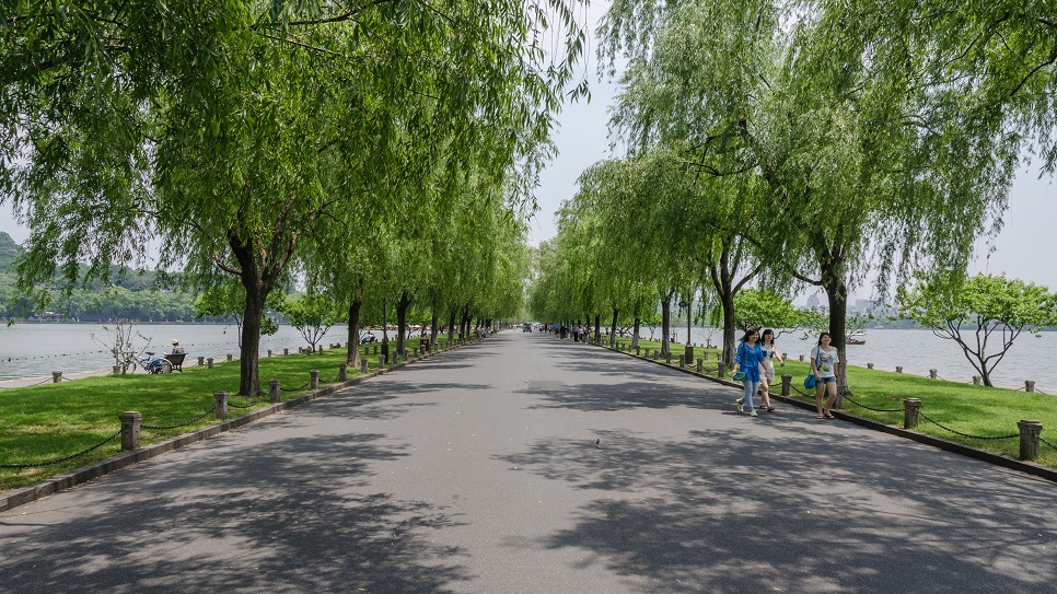 Khu vực T&ocirc; Đ&ecirc;