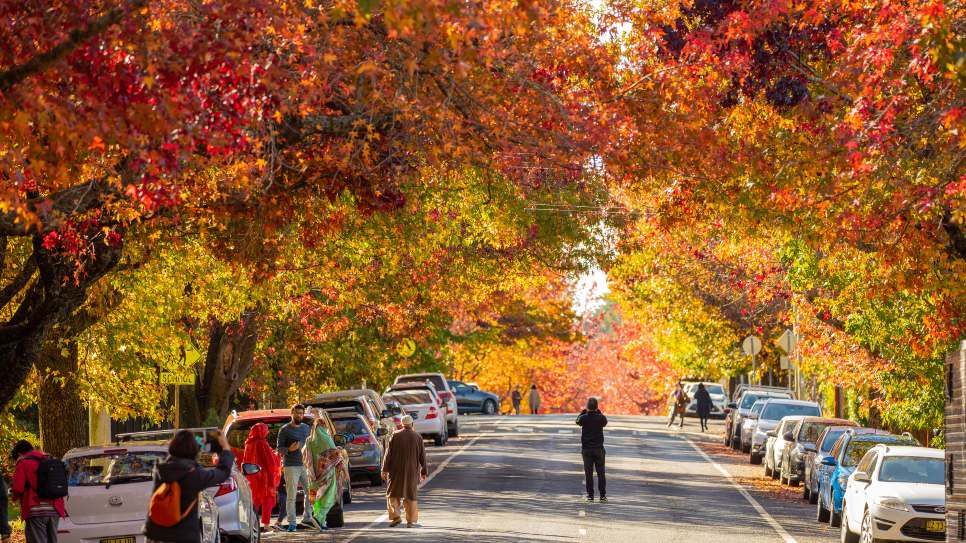 Thị trấn Blackheath