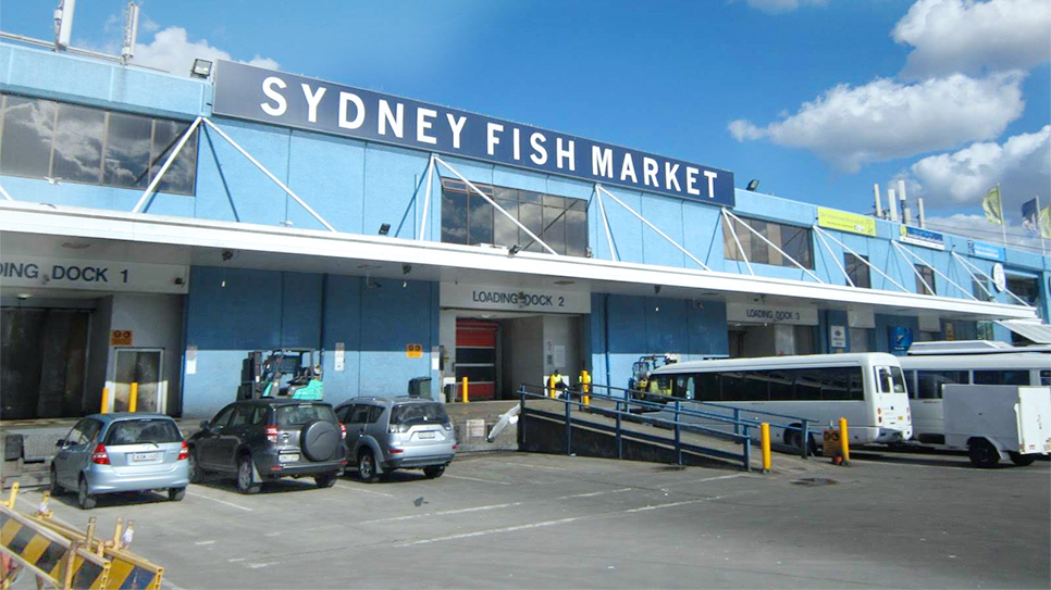 Chợ c&aacute; Sydney