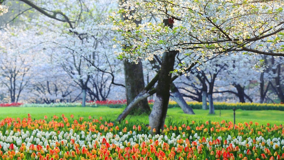 C&ocirc;ng vi&ecirc;n Taiziwan