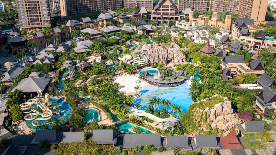 Mangrove Tree Resort