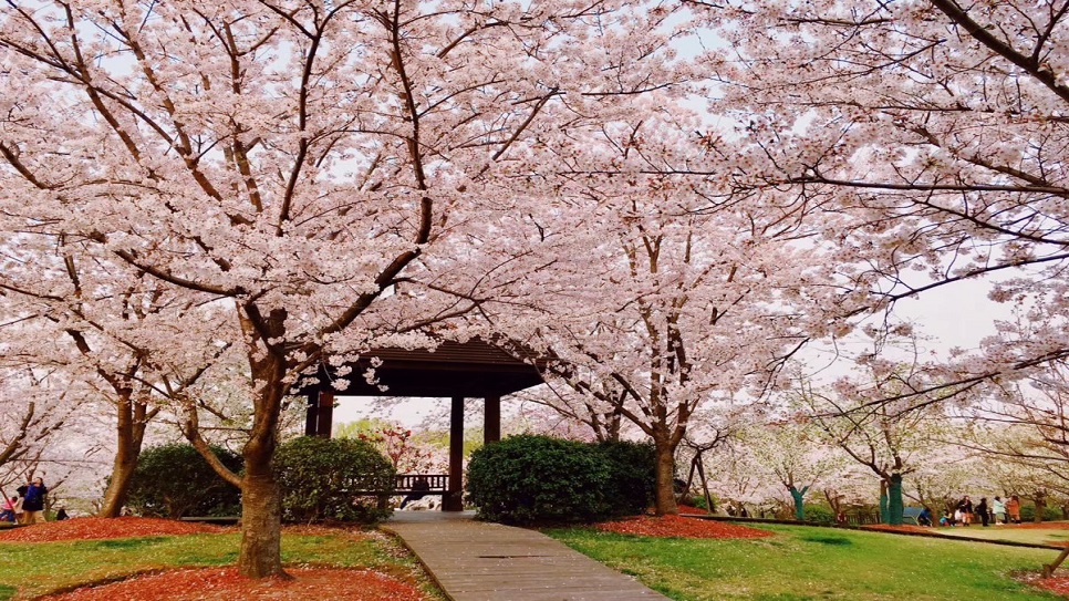 Công viên Cố Thôn