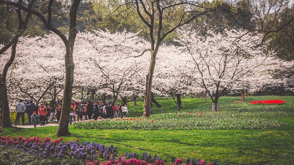 C&ocirc;ng vi&ecirc;n Taiziwan