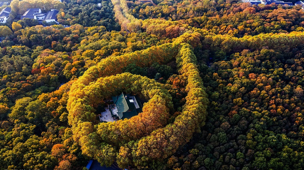 Toàn cảnh cung điện Mỹ Linh nhìn từ trên cao