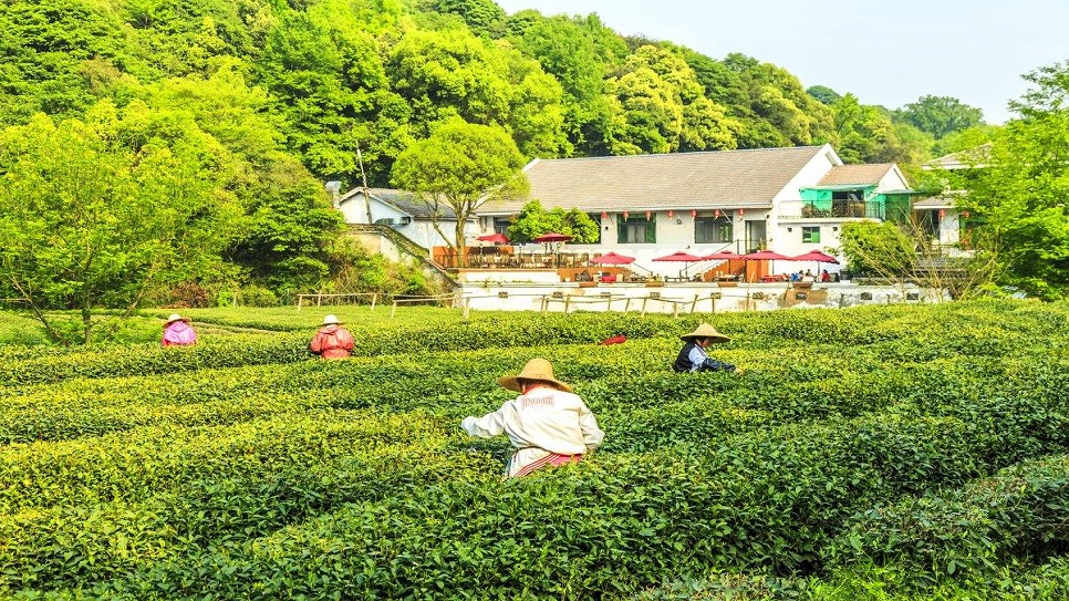 L&agrave;ng tr&agrave; Long Tỉnh