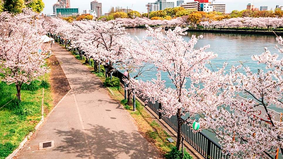 Công viên Kema Sakuranomiya