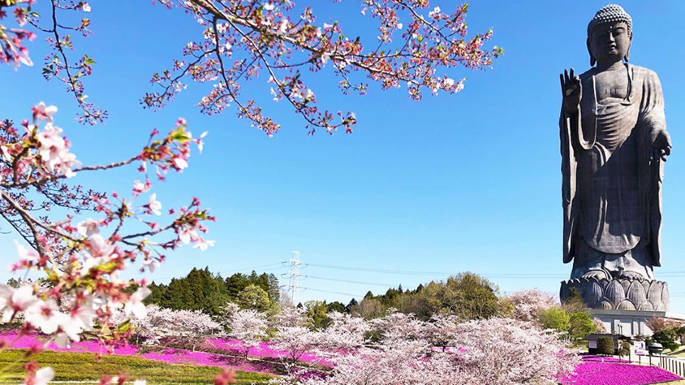 Tượng phật Ushiku Daibutsu