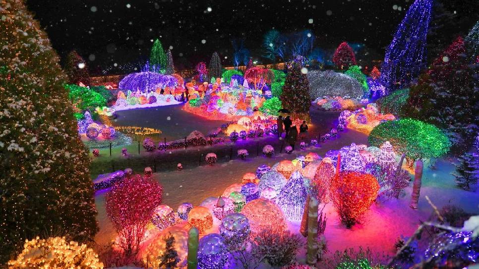 Lễ hội Ánh sáng mùa Đông