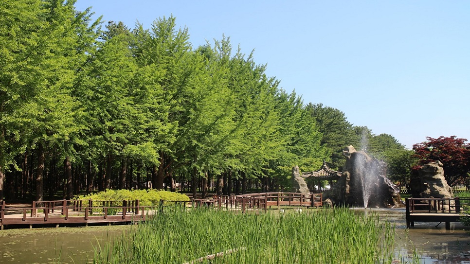 Đảo Nami nổi bật với m&agrave;u xanh mướt của c&acirc;y cối