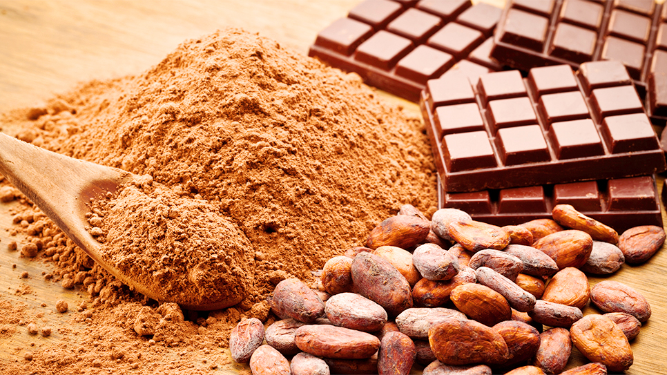 Cửa h&agrave;ng chocolate