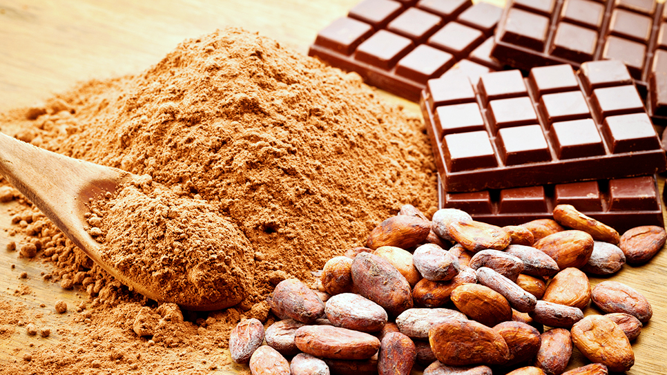 Cửa h&agrave;ng chocolate