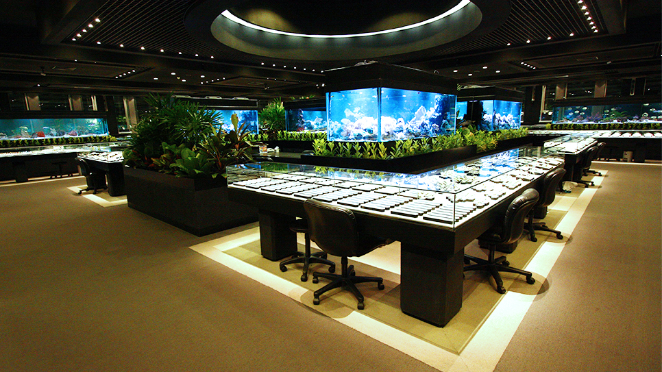 World Gems Collection