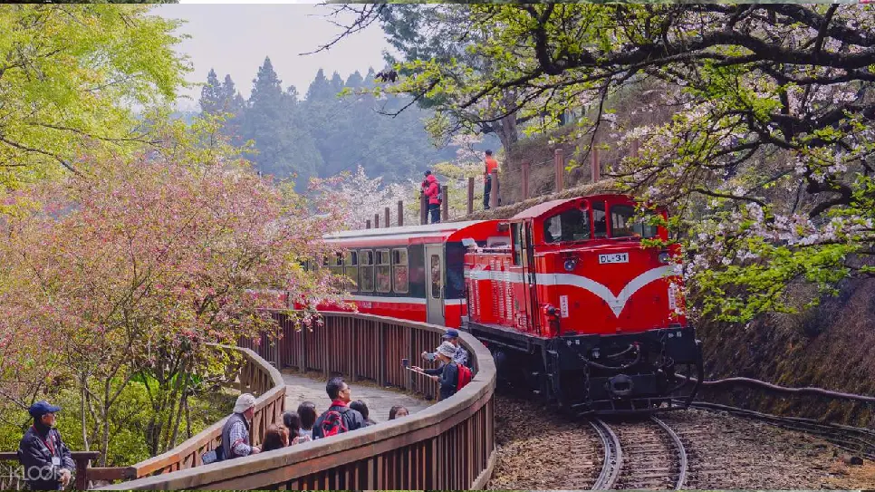 Vườn quốc gia A Lý Sơn