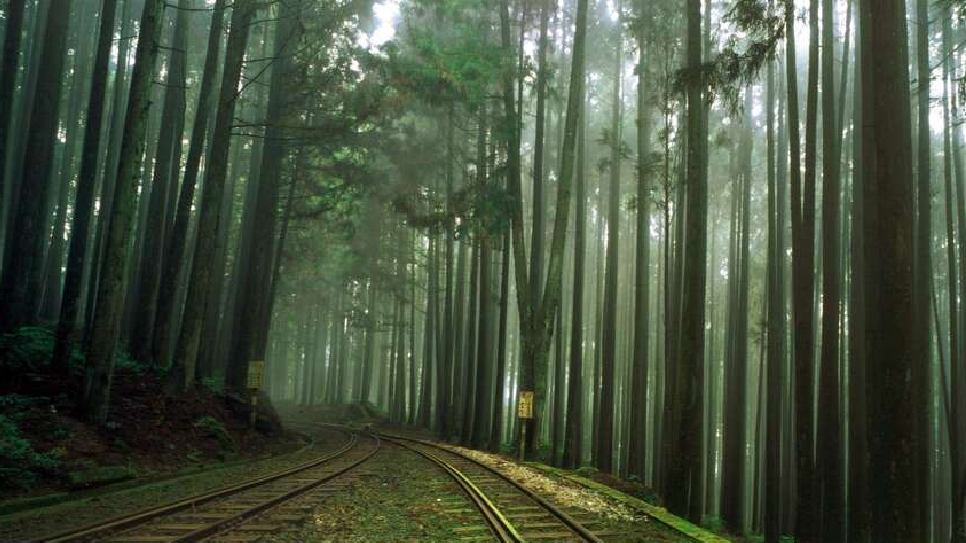 Vườn quốc gia A Lý Sơn