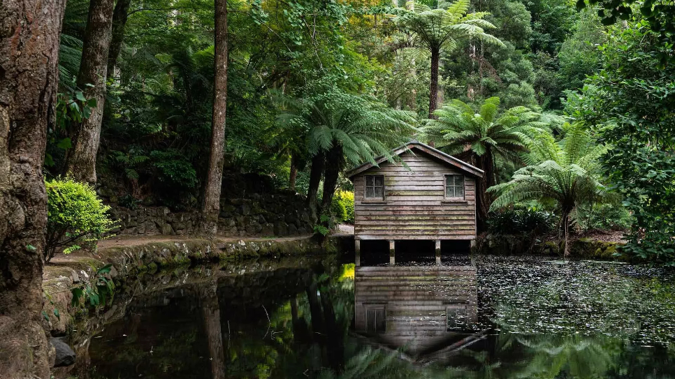 Công viên quốc gia Dandenong Ranges