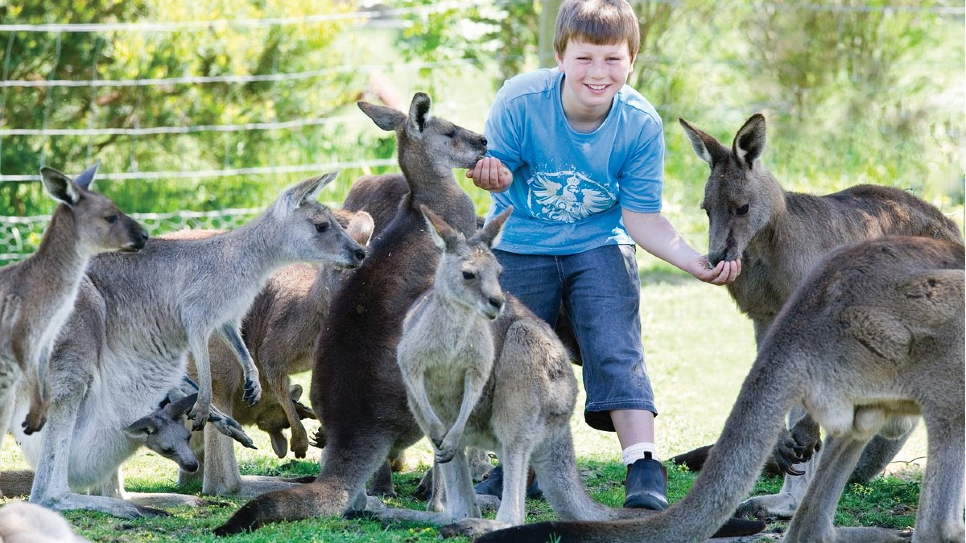 Công viên Maru Wildlife