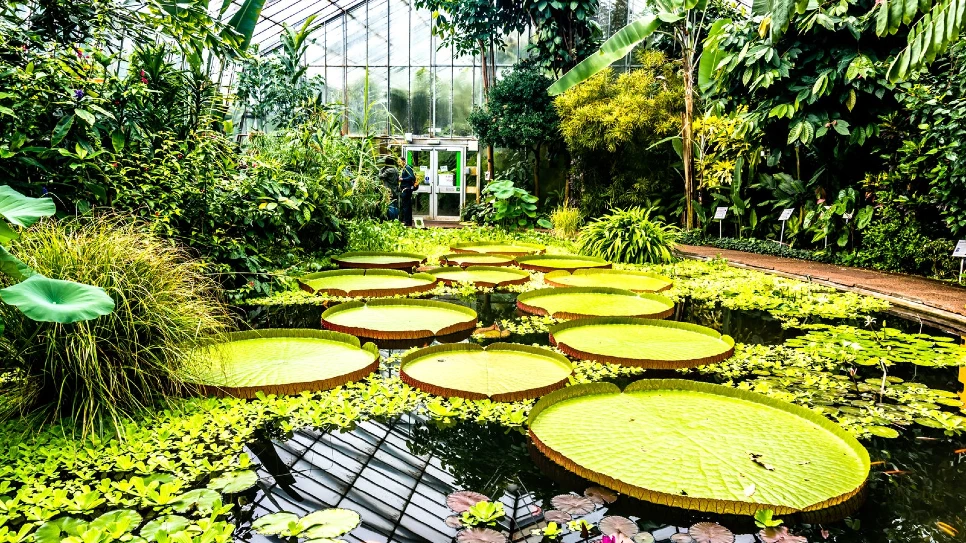 Royal Botanic Gardens