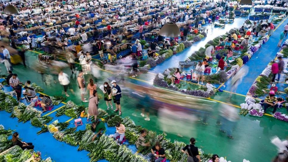 Chợ hoa Đấu Nam 