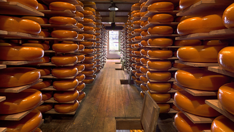 N&ocirc;ng trại Ph&ocirc; mai Catharina Hoeve