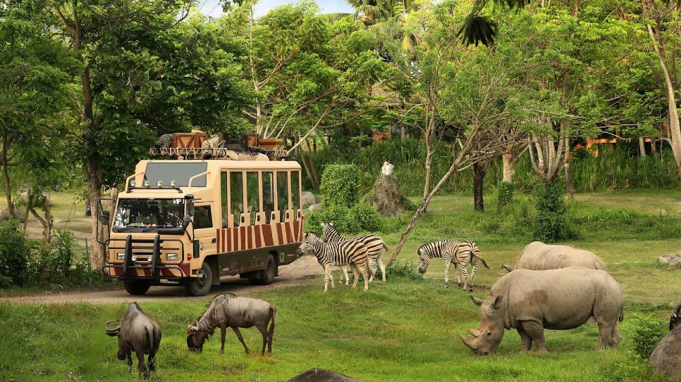Safari Ph&uacute; Quốc - vườn th&uacute; b&aacute;n hoang d&atilde; duy nhất ở Việt Nam