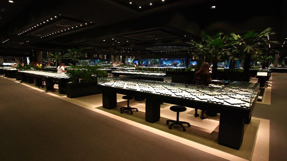 World Gems Collection